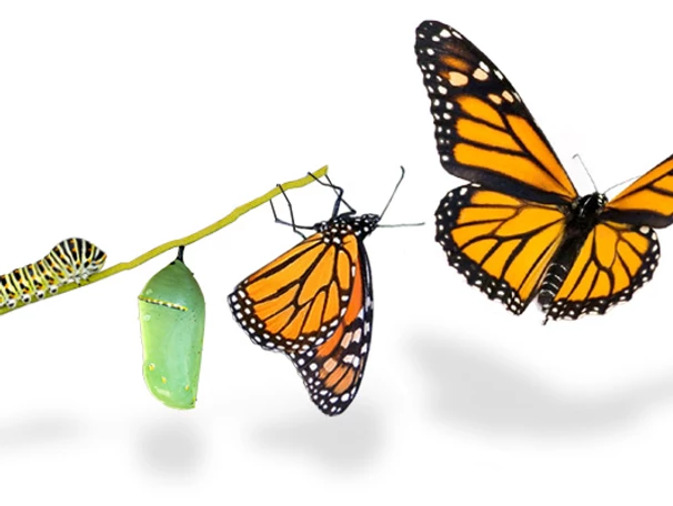 Transformation 1 post7